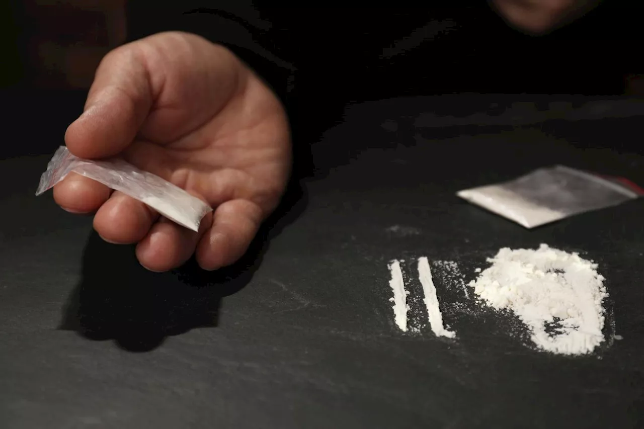 L'offre de cocaïne en France : une hausse de la pureté et de la consommation