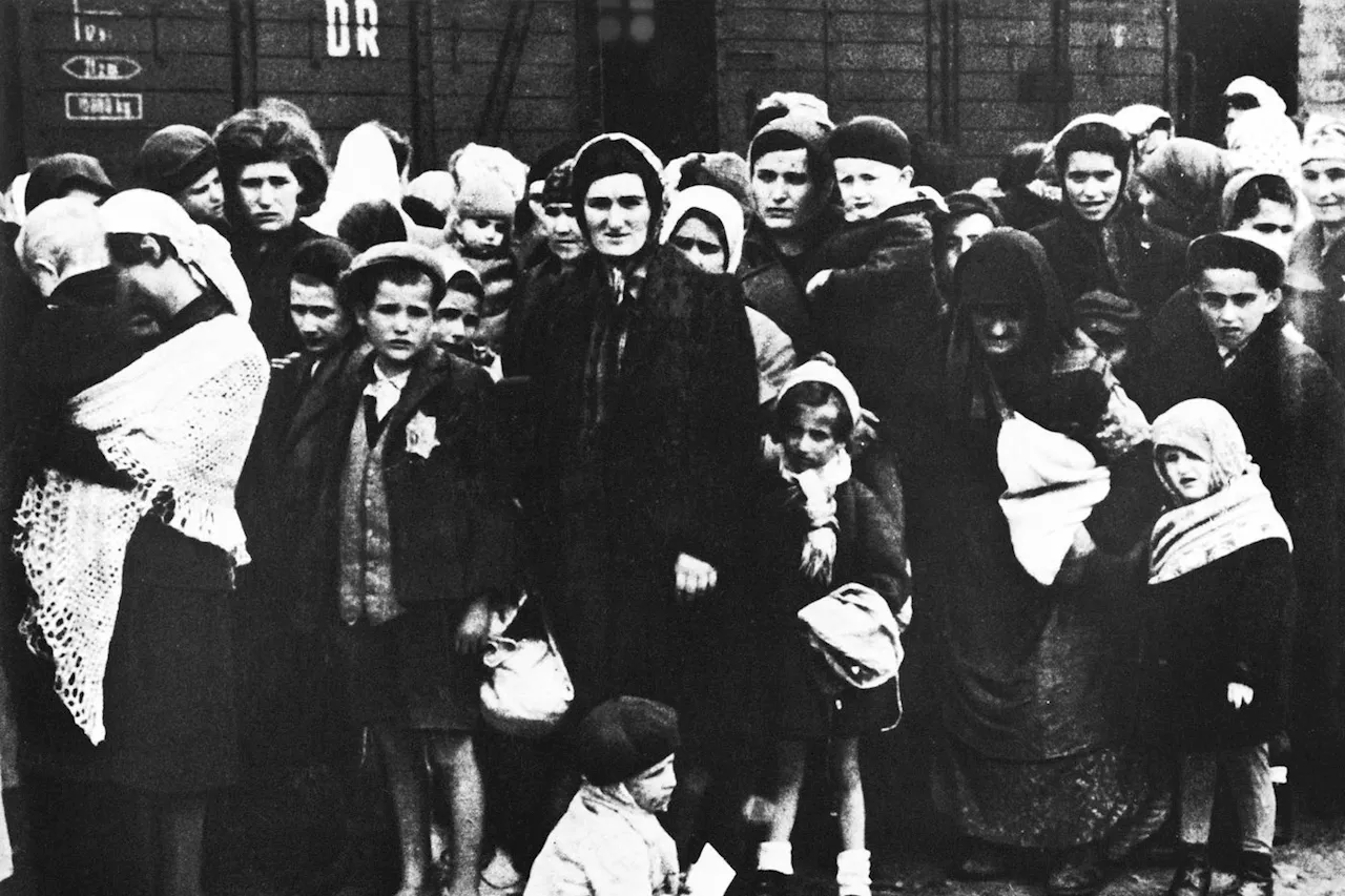 Libération d’Auschwitz : « Le camp, c’est avant tout ce que les hommes y ont vécu »