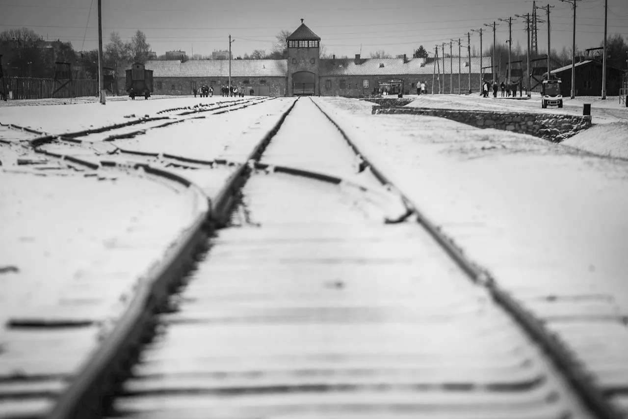 Littérature : 5 classiques pour ne pas oublier Auschwitz