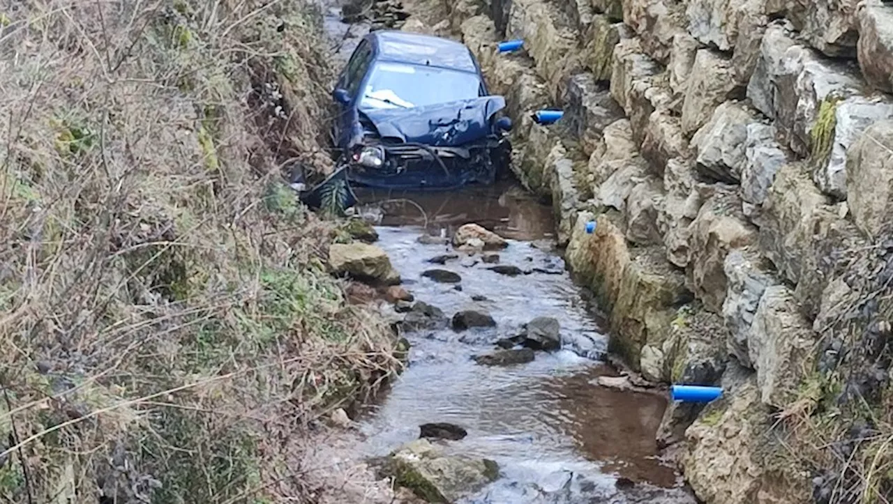 Firmi Deux chèvres tuées et deux moutons blessés par des chiens