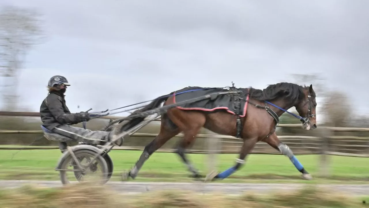 Prix d’Amérique 2025 : à quelle heure et sur quelles chaînes suivre le départ de la mythique course qui s’élan