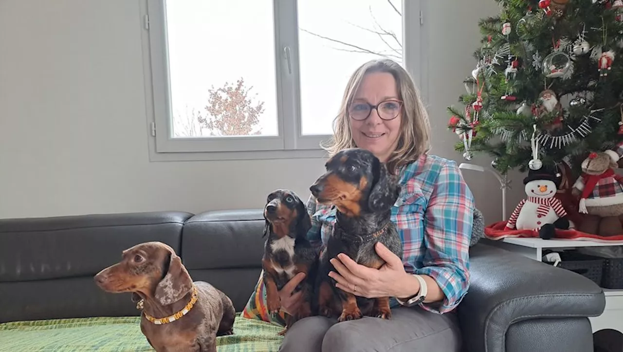 Une Passion Canine: Catherine et Ses Teckels