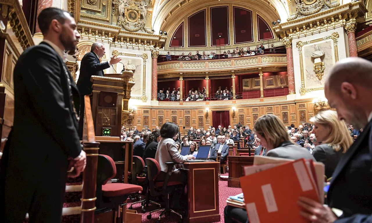 'Ce texte est victime de la procrastination de nos dirigeants' : la fin de vie, peu à peu glissée sous le tapis ?