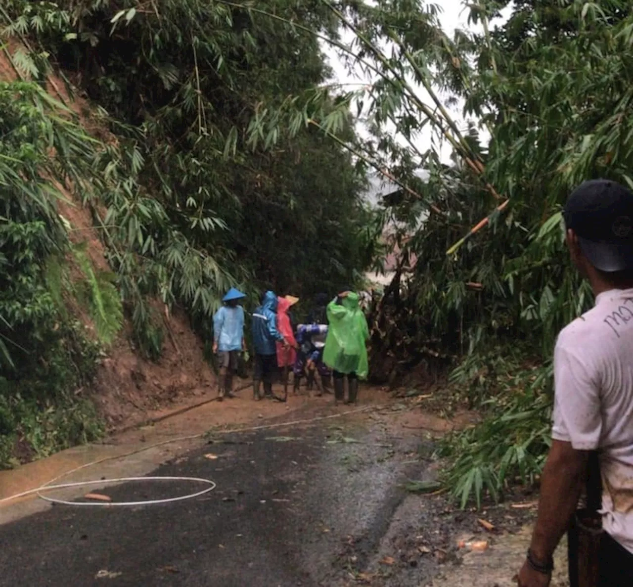 Sebuah Tebing dengan Rumpun Bambu Longsor Tutup Jalan Cikujanghilir Ciamis