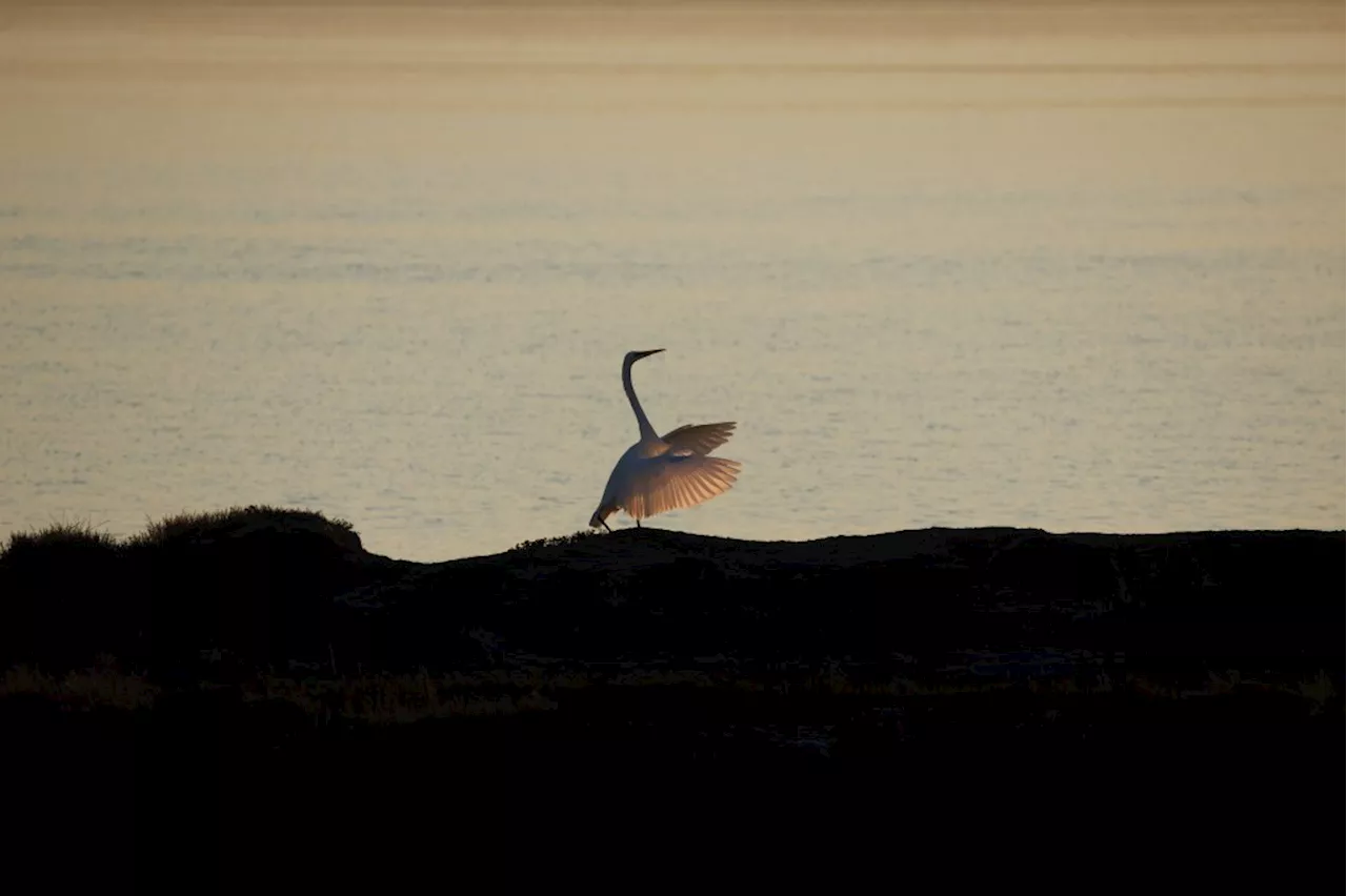 Coyote Hills Regional Park: A Photographer's Paradise