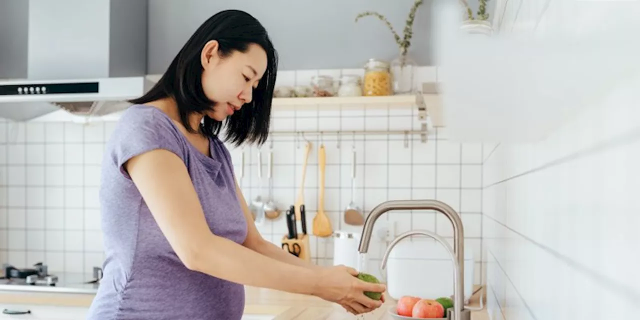 Mushrooms May Hold the Key to Lowering Blood Pressure in Pregnant Women