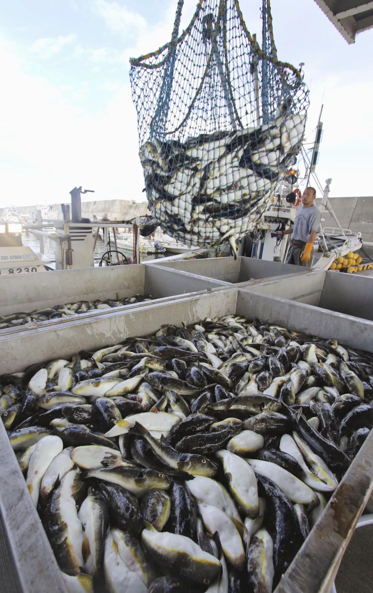 Japanese Fishermen and Researchers Team Up to Study Changing Marine Environment