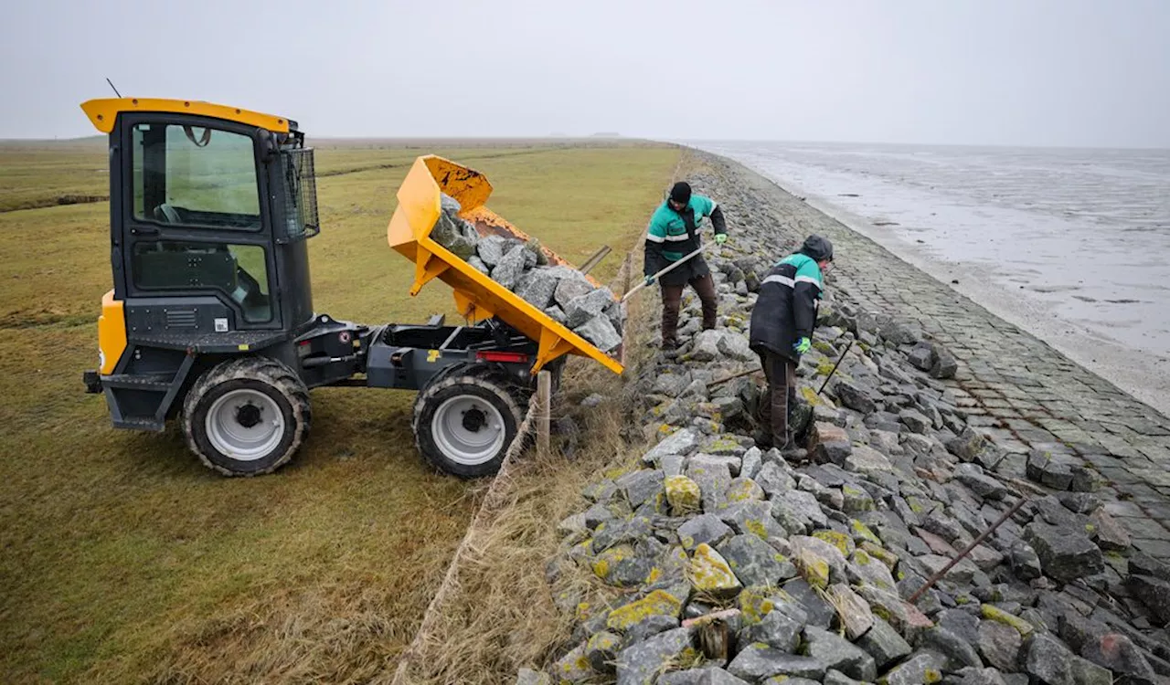 Küstenschutz in Schleswig-Holstein: Reparaturen nach Sturmfluten