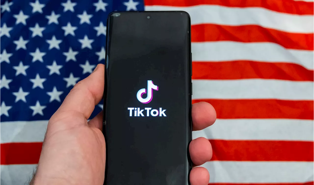 Perplexity AI Revises TikTok Merger Proposal, Allowing US Government Stake