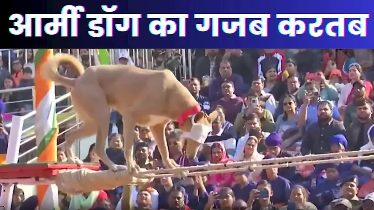 Republic Day: Army Dogs ने दिखाए गजब के करतब, बंद आंखों से रस्सियों पर चले, Video देख दांतों तले दबा लेंगे उंगली