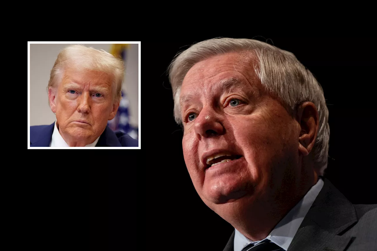 Donald Trump Just 'Technically' Violated the Law—Lindsey Graham