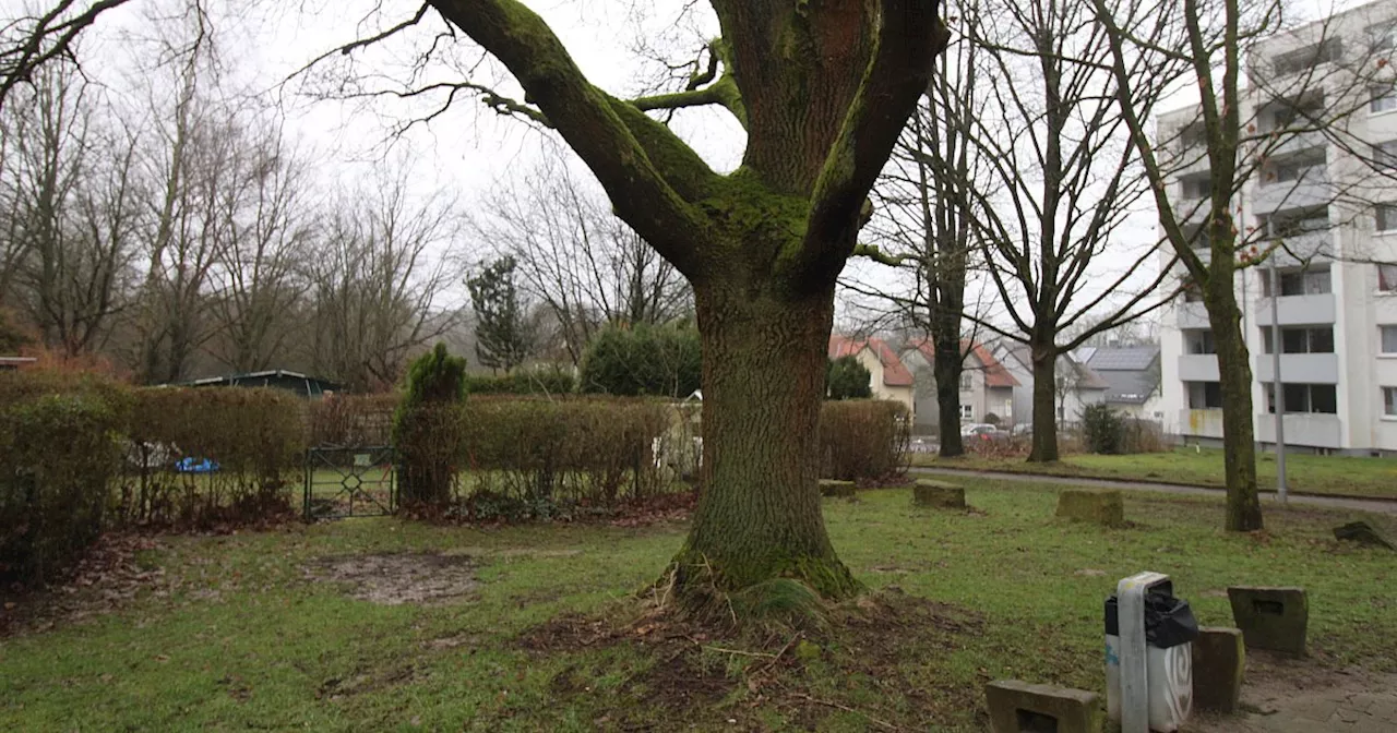 Neues Gerätehaus für Bielefelder Löschabteilung in Schildesche