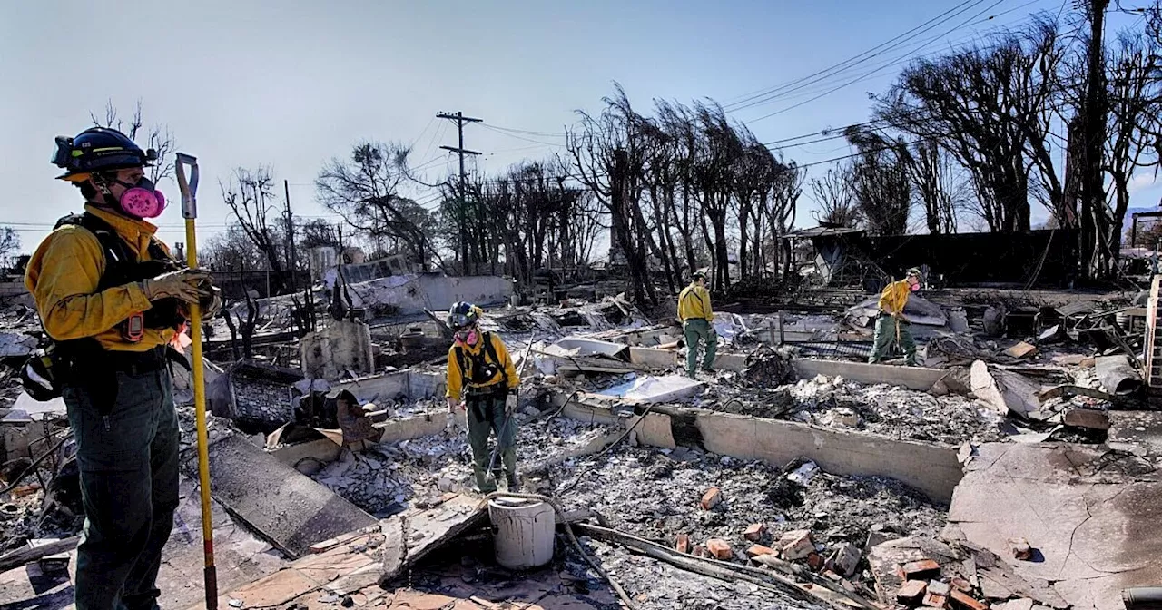 Regen nach Feuern in Los Angeles erwartet