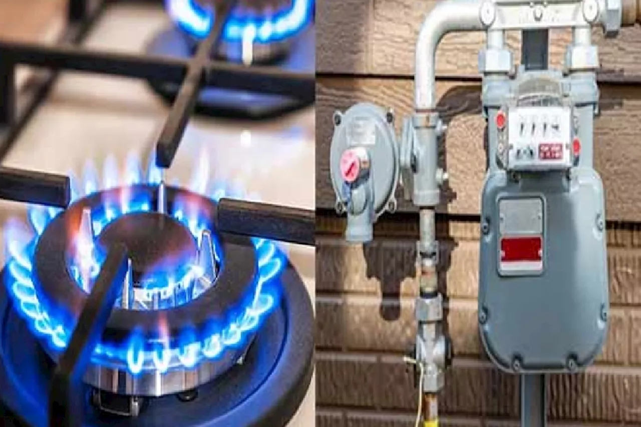 Protecting Domestic Consumers : ECC Rejects Hike In Gas Tariff For Domestic Sector