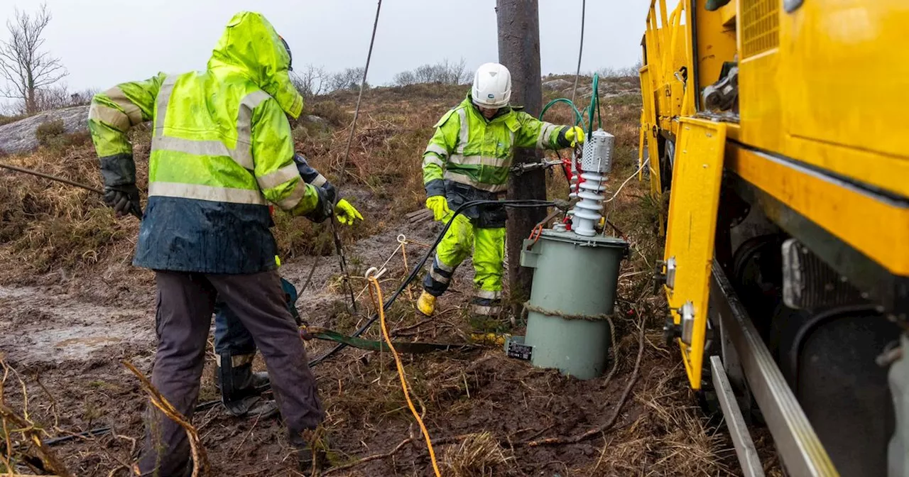 Thousands may remain without power until February as ESB battles to fix 'unprecedented damage'