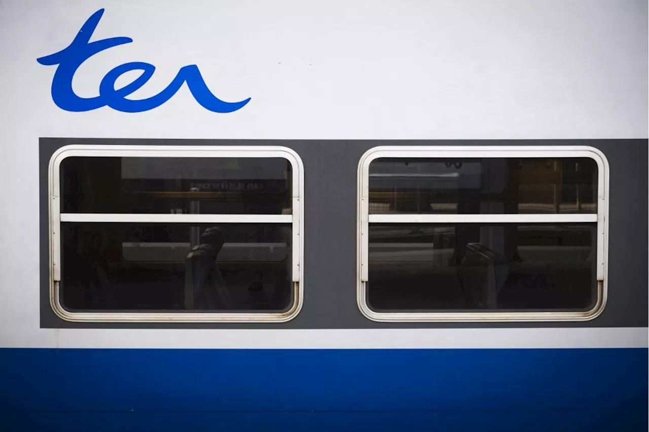 Isère : une fillette de 6 ans amputée après avoir été coincée entre un train et le quai