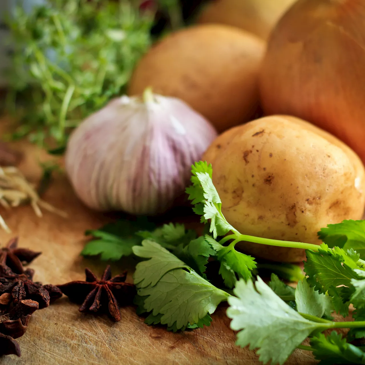 Le Guide du Potager Débutant : Des Conseils Simplifie's pour Vos Premières Cultures