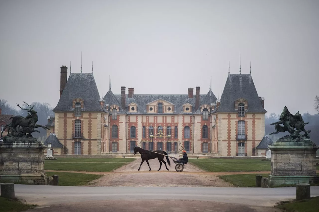 Prix d'Amérique : 'C'est vraiment une journée particulière', confie Nicolas Bazire