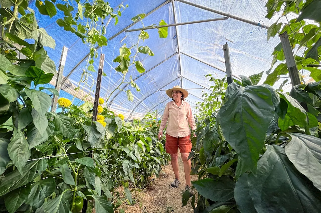 Utah's Growth: Trading Farms for Water