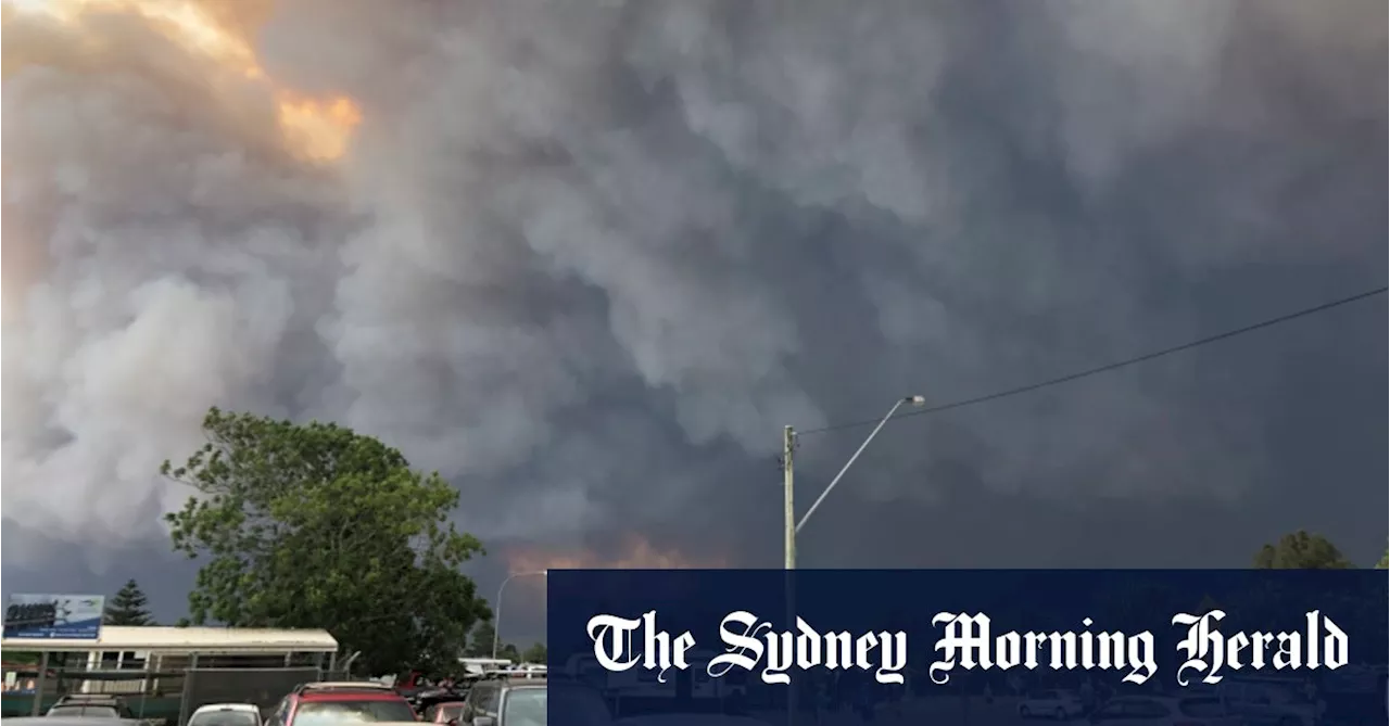 Amid bushfire’s smoke, there was kindness everywhere you looked