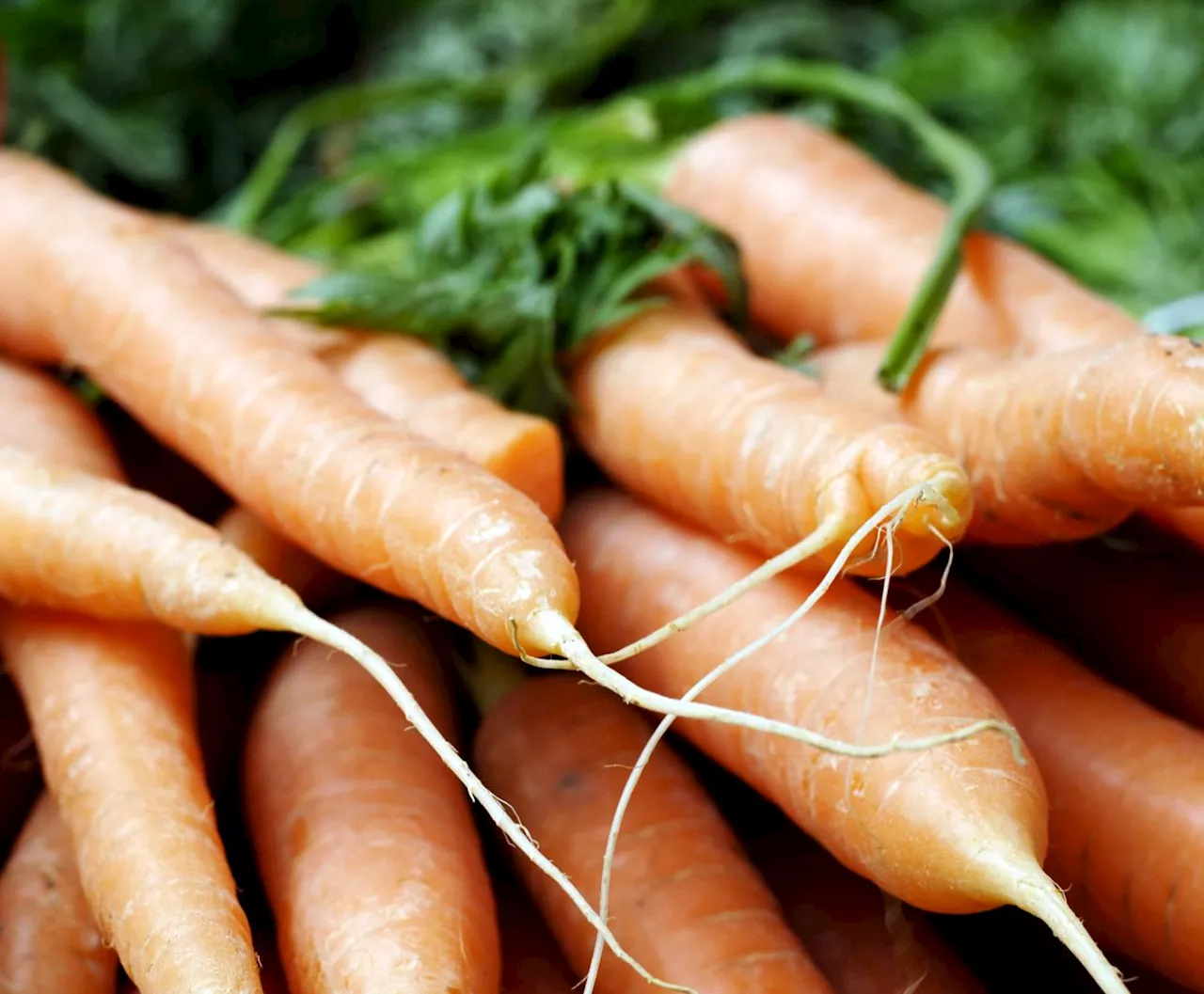 Carrots can potentially help in managing diabetes