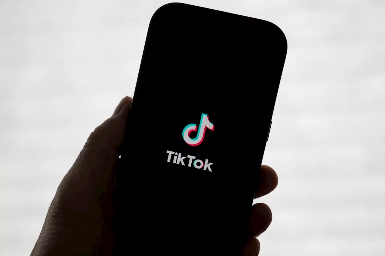 TikTok likes won't guarantee youth votes, says Amanah leader