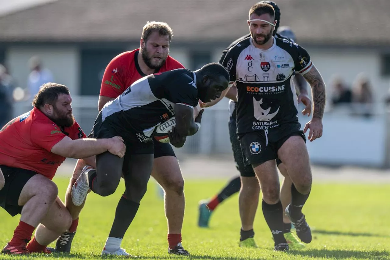 Rugby (Fédérale 2) : le derby Surgères - Rochefort une nouvelle fois pour les Saristes (5-13)