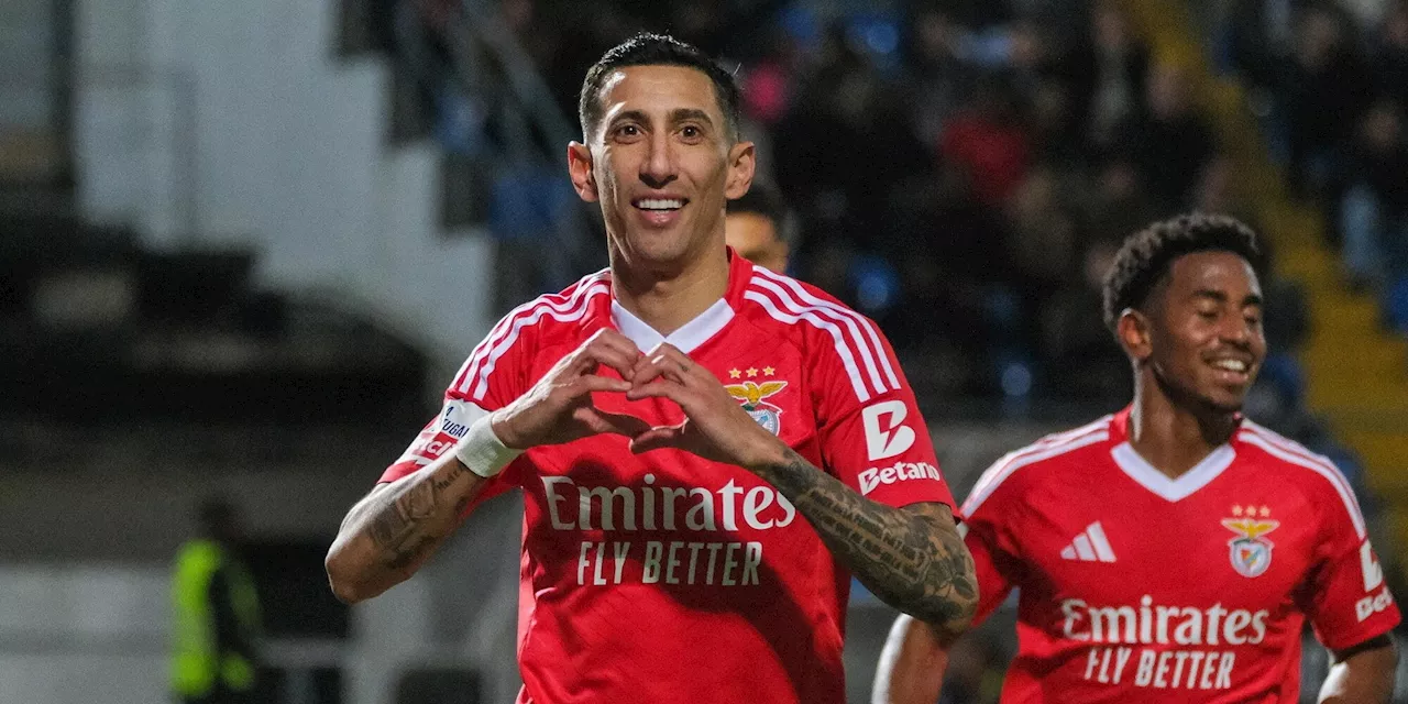 Juventus, come sta il Benfica: Di Maria, precedenti Champions e pericoli