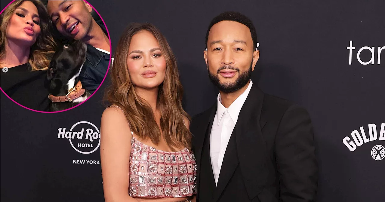 Chrissy Teigen and John Legend’s 3-Legged Dog Penny Dies