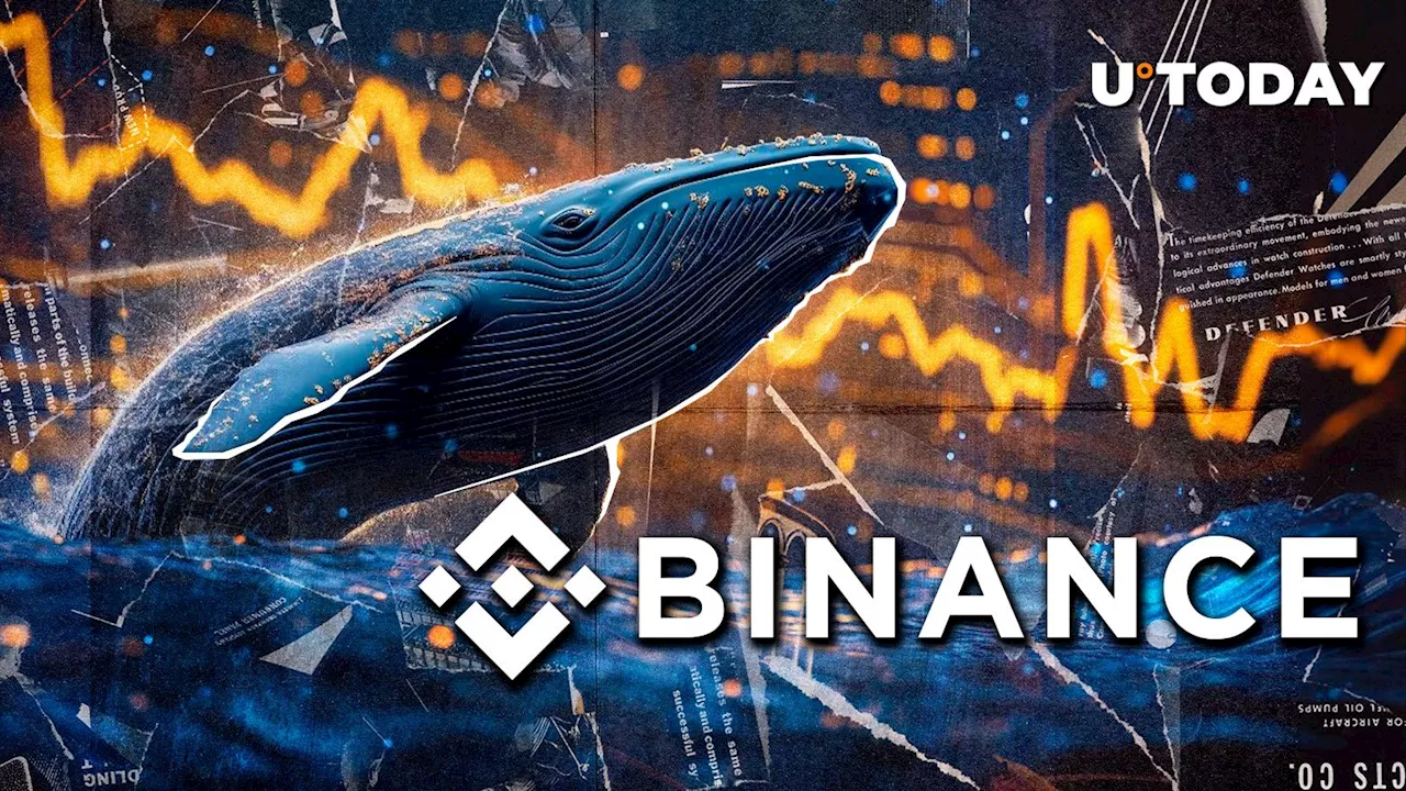 Major Ethereum Meme Coin Whale Hits Binance to Take Profit