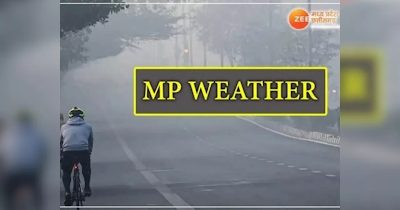 MP में ठंडी हवाओं से मौसम हुआ सर्द, तापमान में गिरावट, जानें अगले 24 घंटे में कैसा रहेगा वेदर