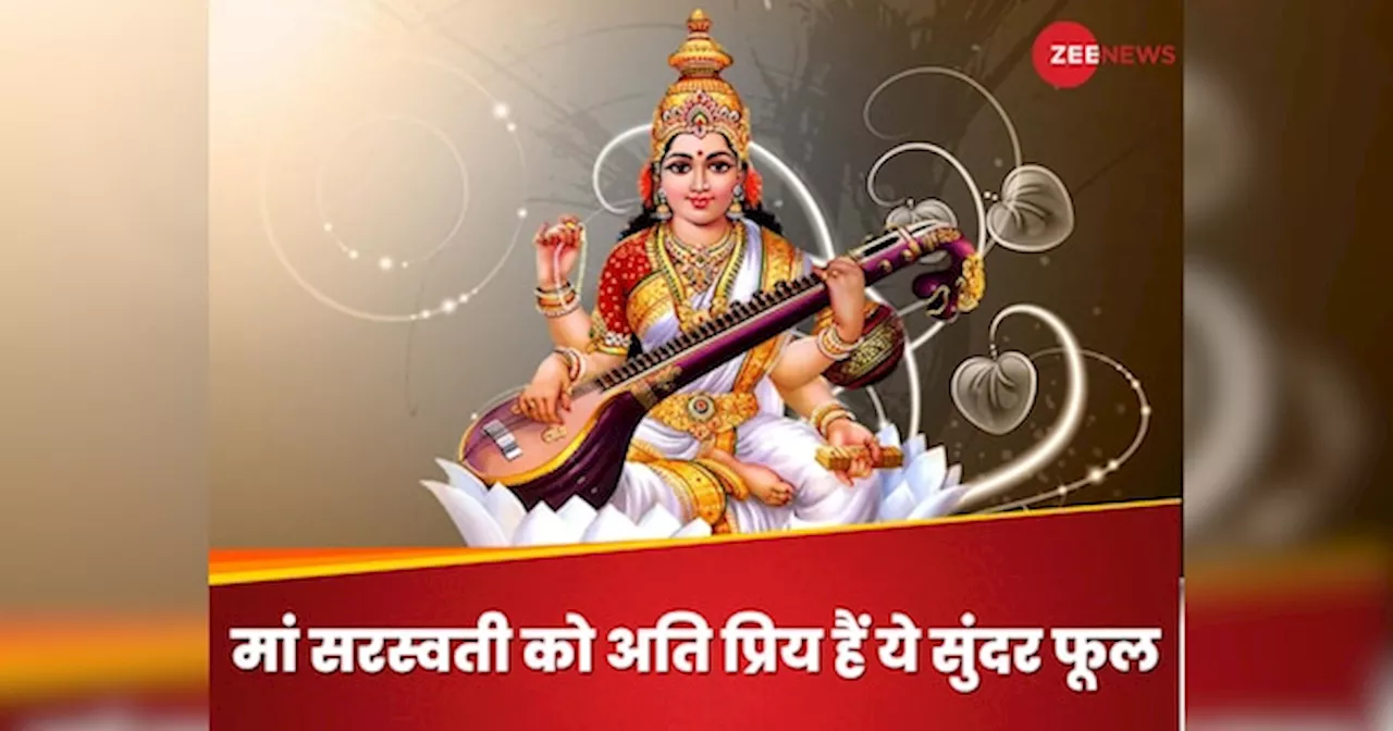 Saraswati Puja: बसंत पंचमी पर मां शारदे को अर्पित करें ये सुंदर फूल, सरस्वती पूजा पर माता बरसाएंगी कृपा