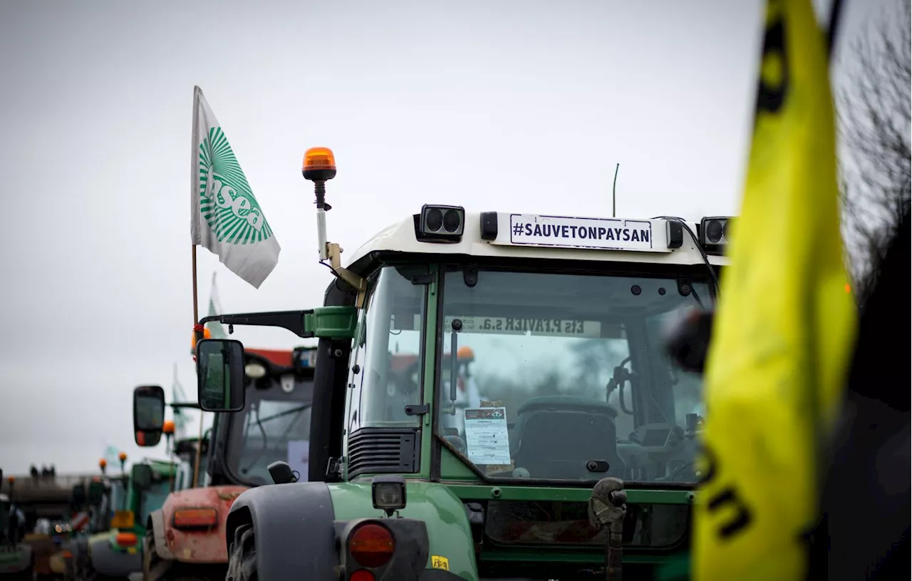 Les agriculteurs appelés aux urnes pour les élections des chambres d'agriculture