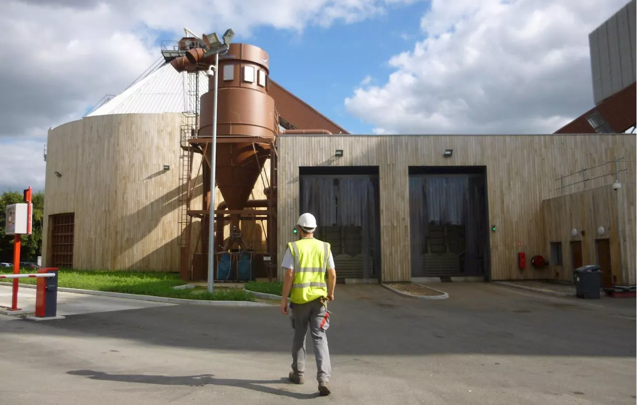 Le chauffage au bois: une solution écologique pour le futur ?