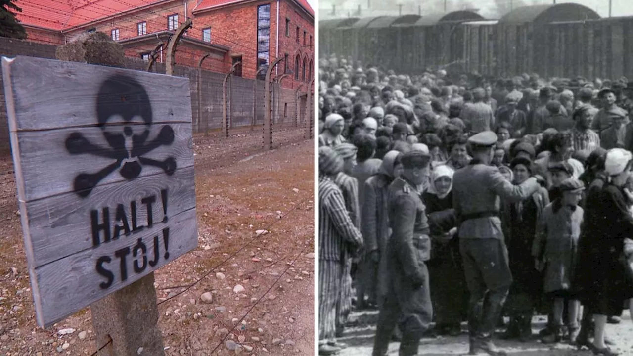 98-Year-Old Auschwitz Survivor Shares Her Story as Antisemitism Rises