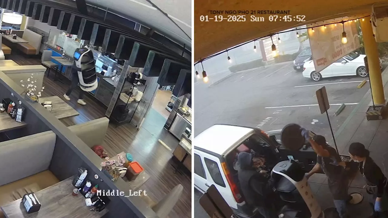 Robot Kidnapping Attempt at San Jose Restaurant