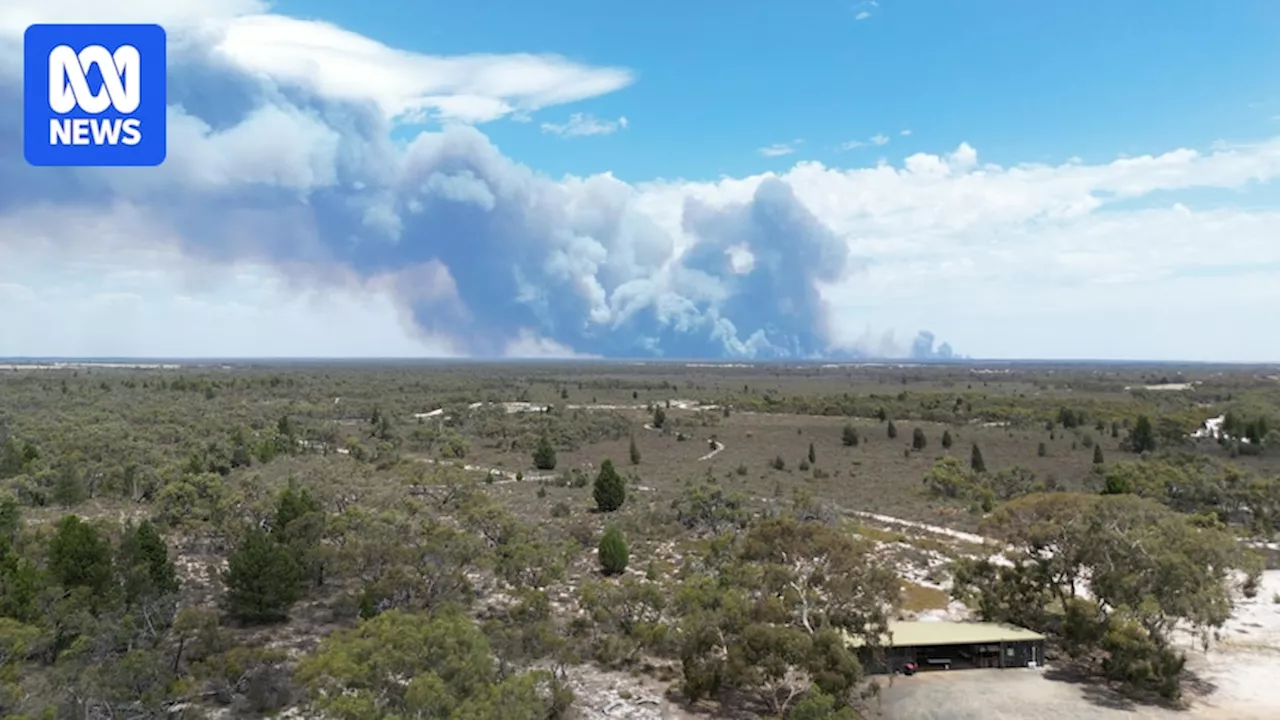 Bushfires Ravage Victoria's West, Destroying Lodge and Threatening Homes