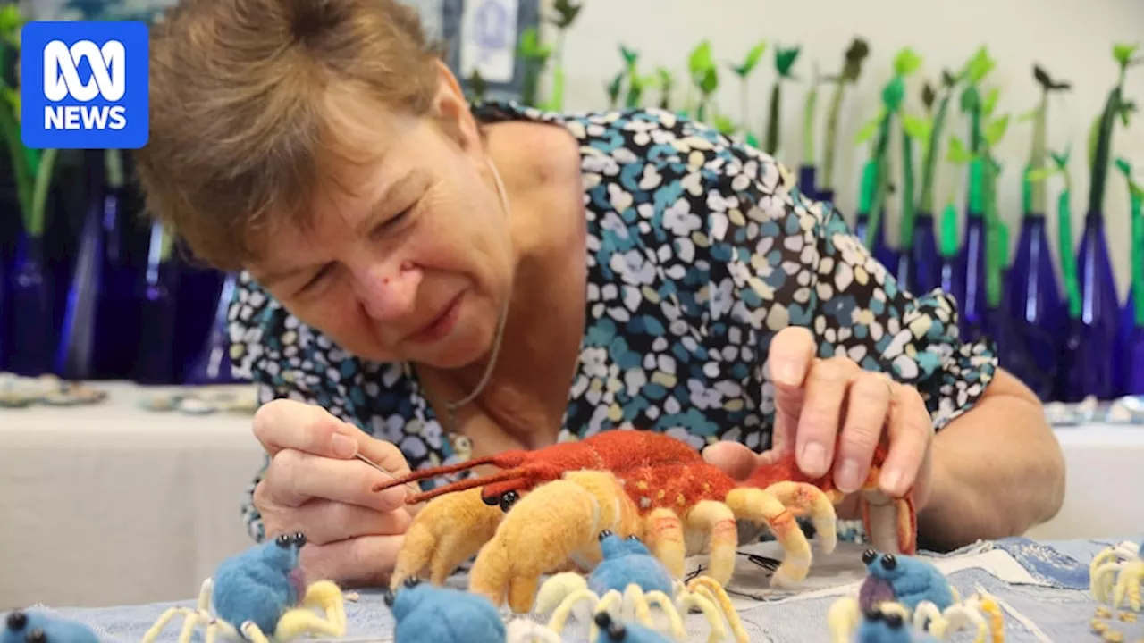 Darwin's Mangroves Inspire Collaborative Art Project