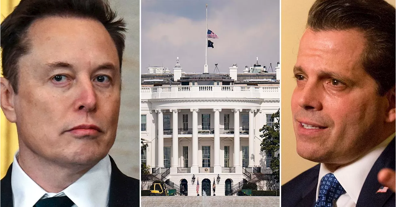 Trumps tidigare kommunikationschef: Elon Musk har ett år kvar vid Trumps sida