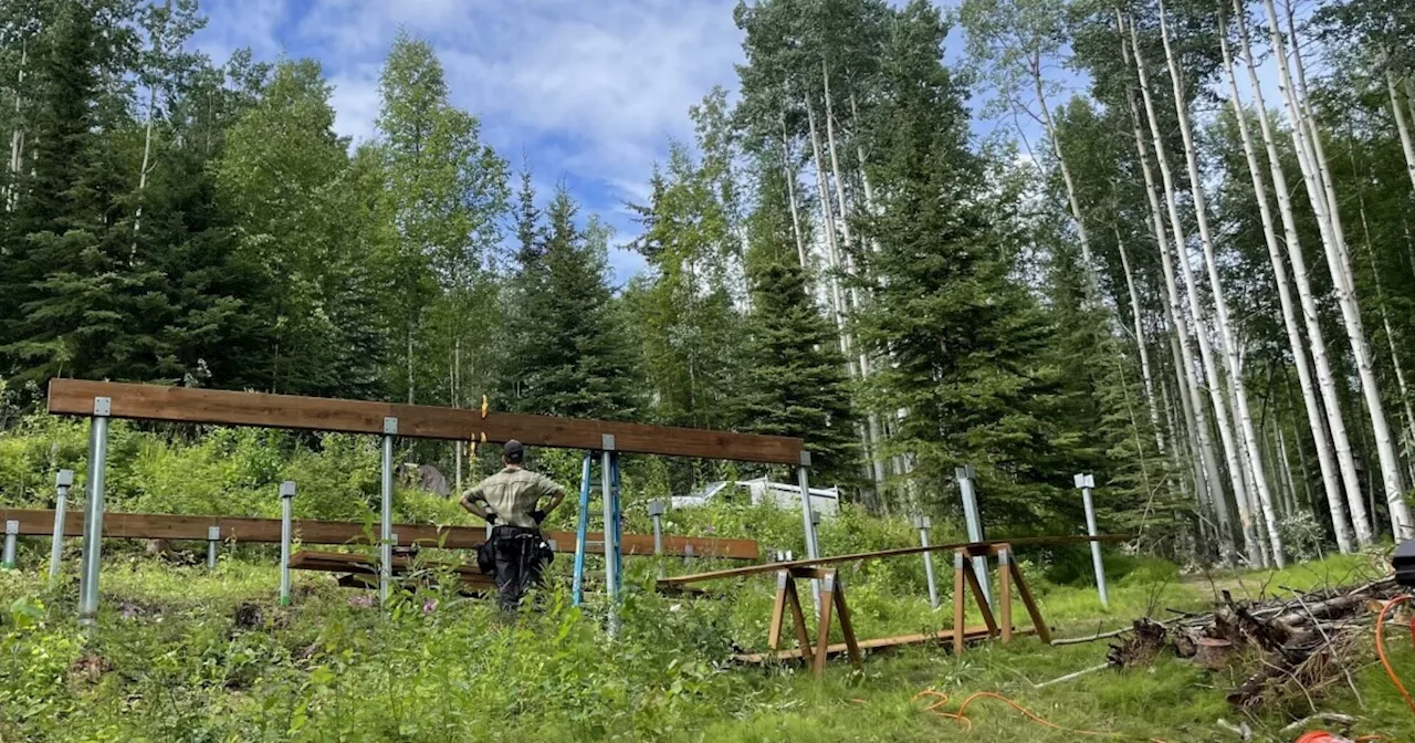 Couple Builds Dream Home in Fairbanks, Alaska Amidst High Housing Costs