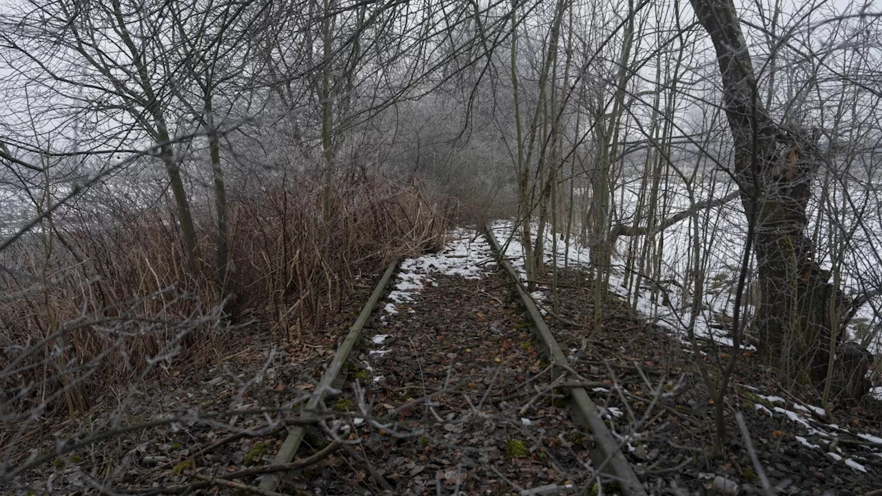 Auschwitz: Railroad Tracks Echo Echoes of Nazi Atrocities