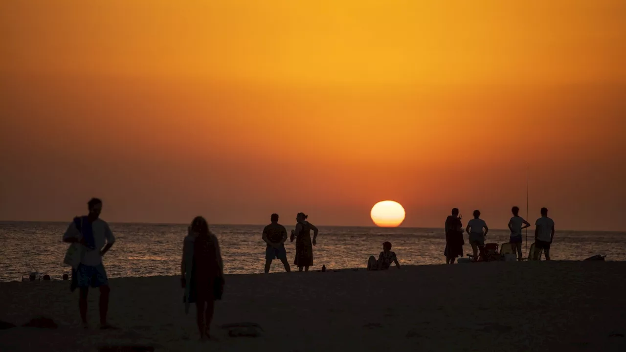 Heat Waves to Kill Millions in Europe by Century's End, Study Warns