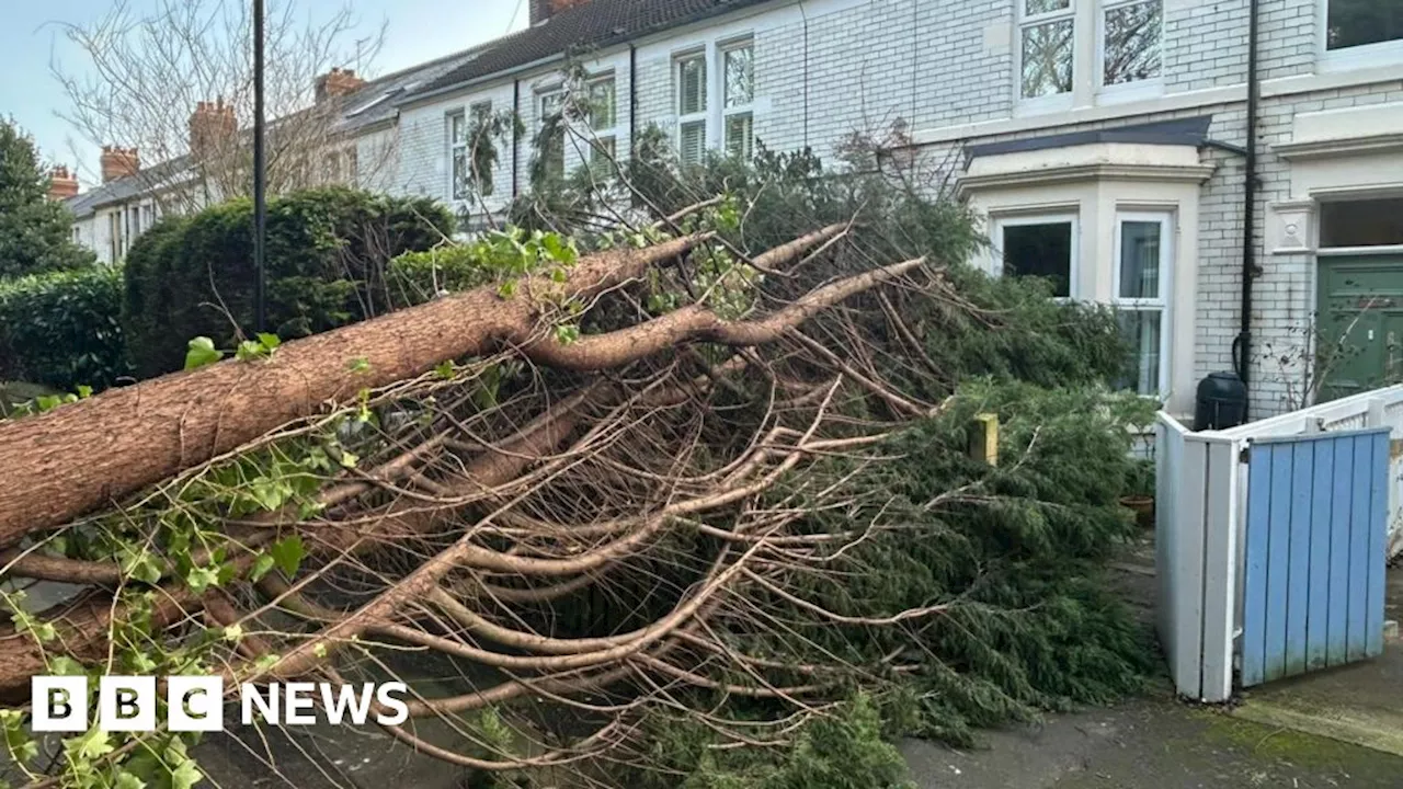 Storm Éowyn Leaves Thousands Without Power in Northeast England and Cumbria