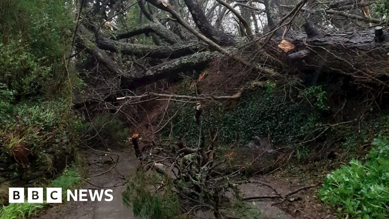 Storm Herminia Causes Havoc in Devon and Cornwall