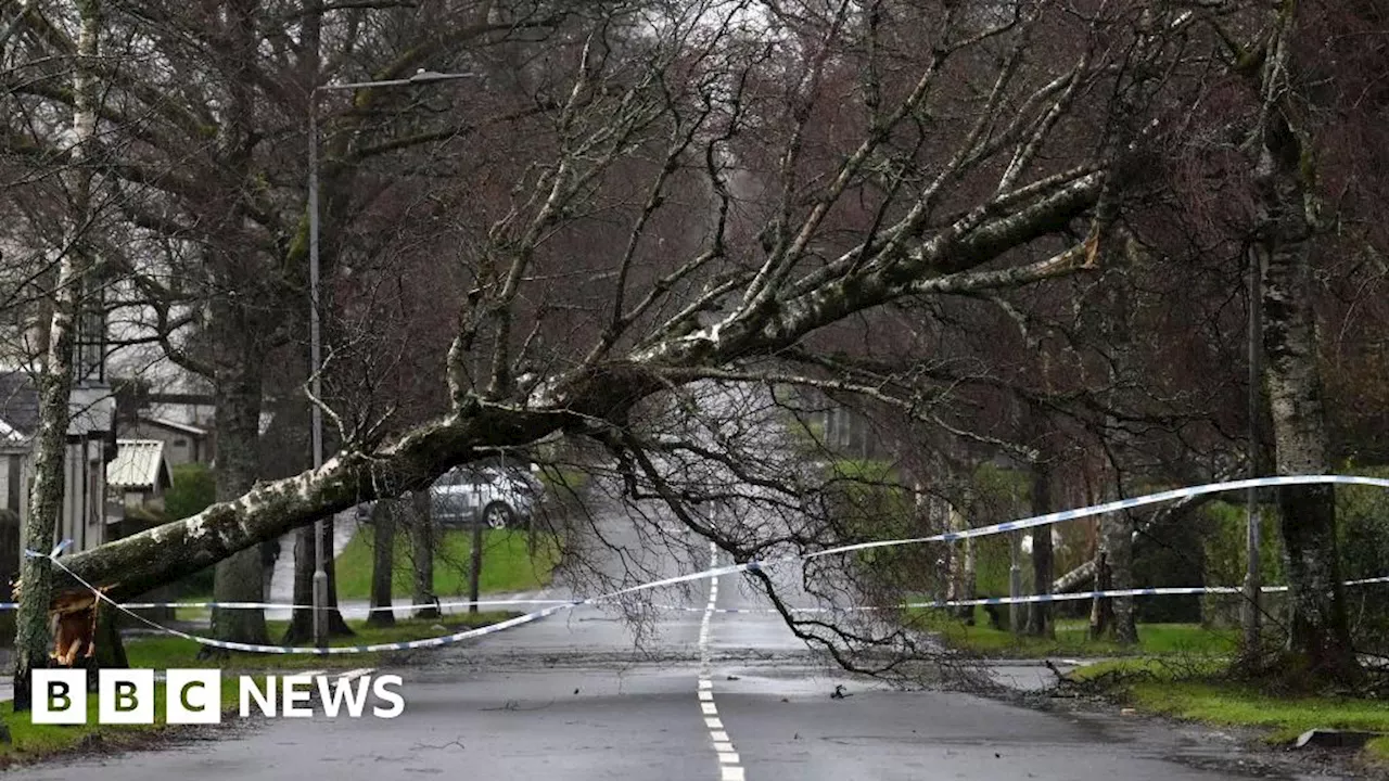 Storm Éowyn: Thousands Still Without Power as Scotland Recovers from Hurricane-Force Winds