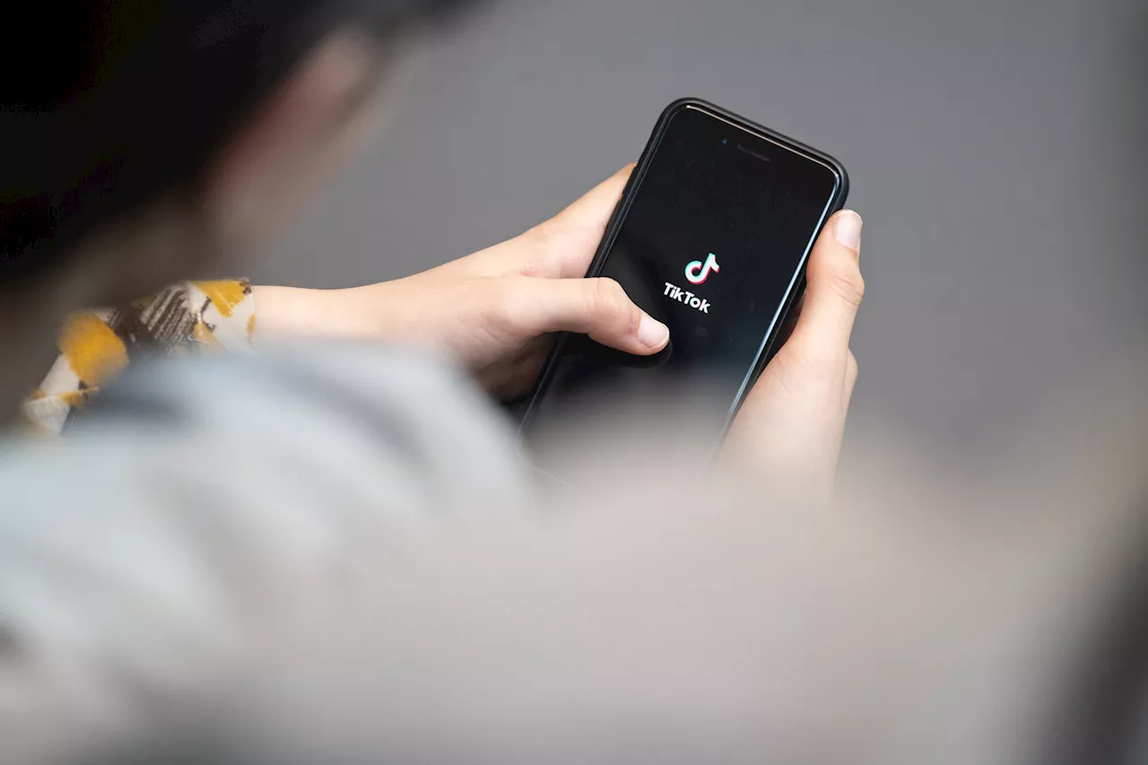 Perplexity AI Proposes US Government Stake in TikTok US Deal