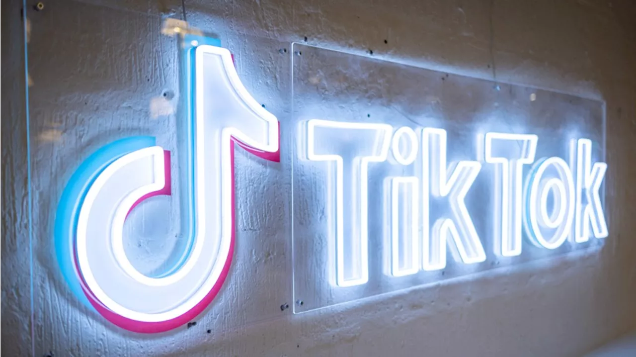 Perplexity AI Proposes U.S. Government Stake in TikTok Amidst Ban Concerns