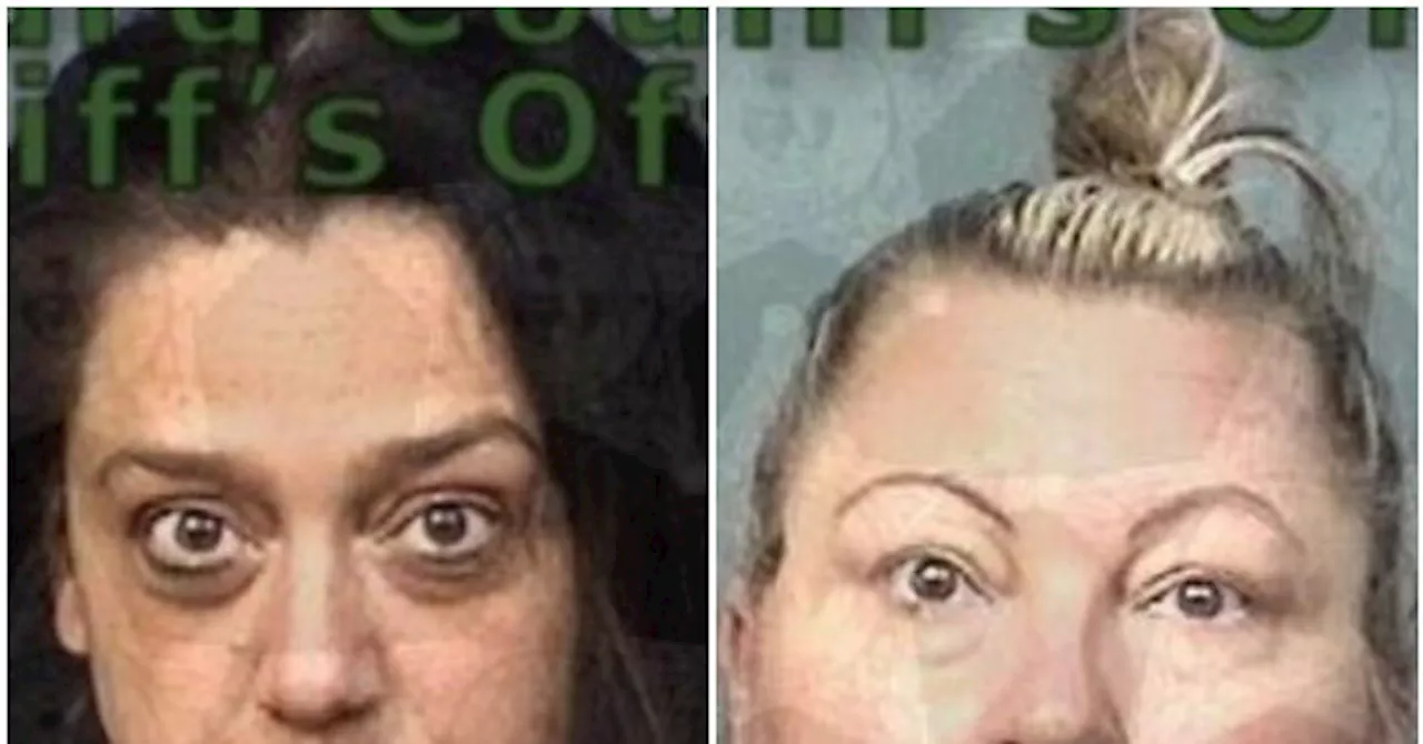 Florida Principal and Teacher Arrested at House Party with Over 100 Minors