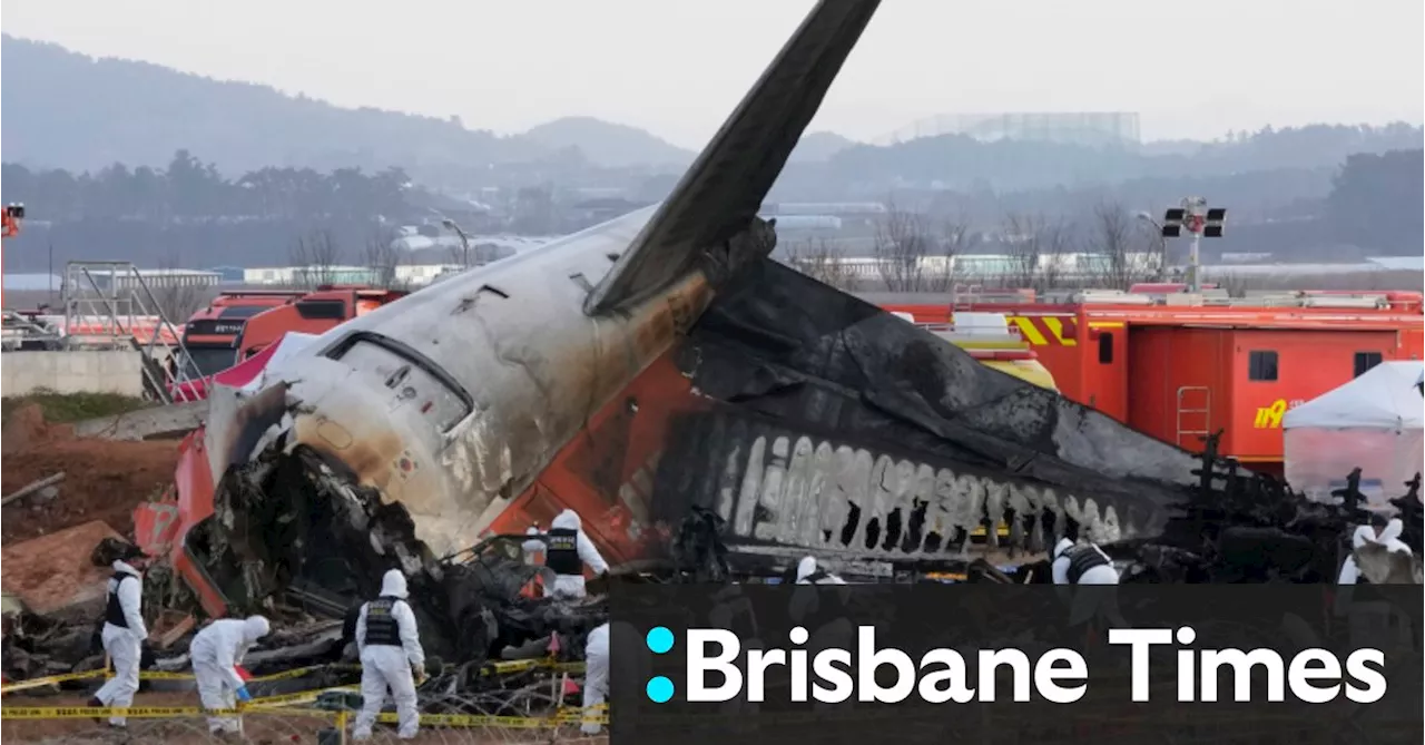 Bird feathers found in engines of South Korean plane that crashed