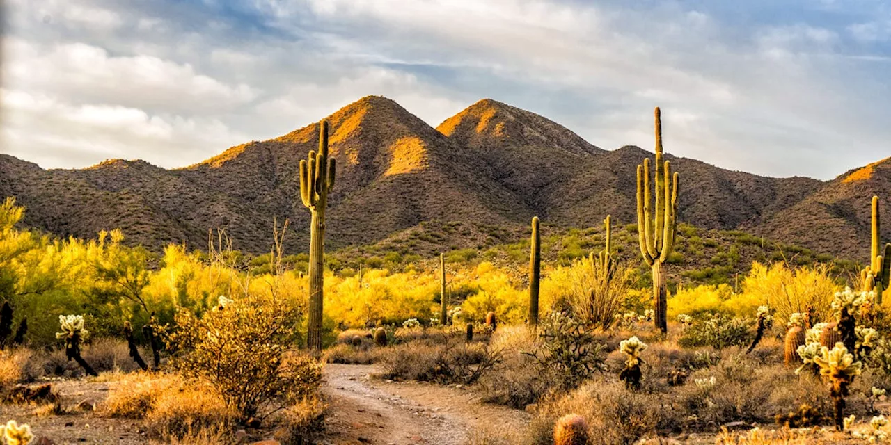 I moved to Arizona for love; He left, but I made myself love the state